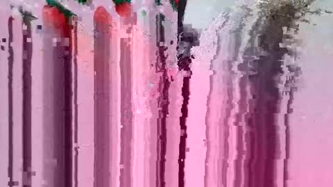 cksexeeee31 online show from 01-09-26, 05:10