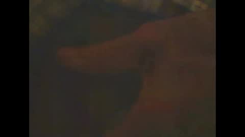 castells online show from 02-23-25, 06:56