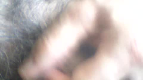 castells online show from 06-24-26, 02:38