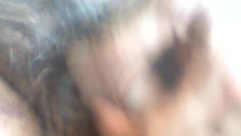 castells online show from 06-26-26, 03:49