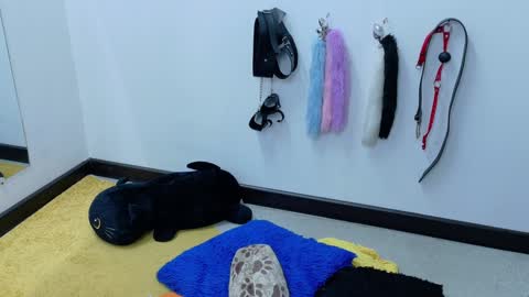 Cata online show from 01-21-25, 06:02