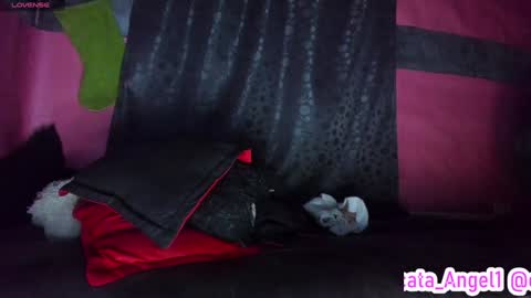 Cata Angel online show from 12-05-24, 04:09