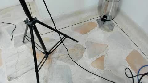 catalina ada online show from 03-11-25, 05:46