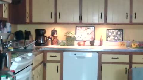 CATALYSTIC online show from 12-31-24, 11:20