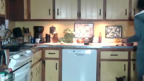 CATALYSTIC online show from 01-13-25, 09:41