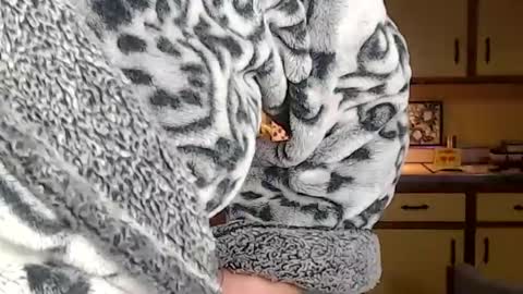 CATALYSTIC online show from 03-10-25, 09:53