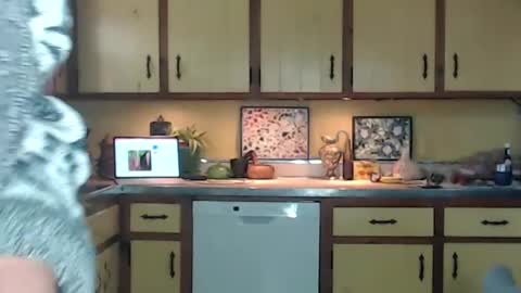 CATALYSTIC online show from 09-14-25, 02:49