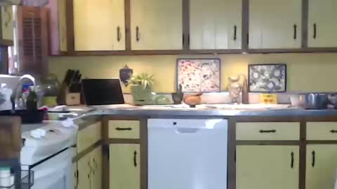 CATALYSTIC online show from 10-12-25, 03:33