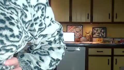 CATALYSTIC online show from 10-25-25, 12:56