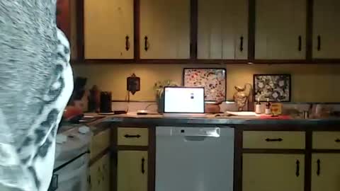 CATALYSTIC online show from 10-26-25, 11:27