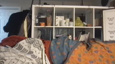 cattypants online show from 09-10-25, 10:48