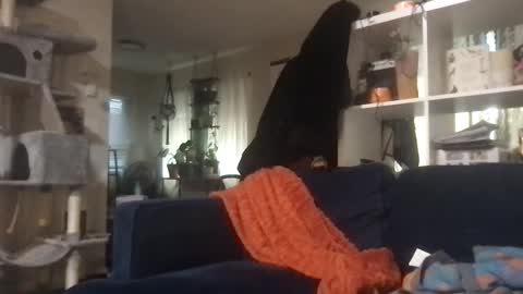 cattypants online show from 09-11-25, 02:11