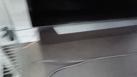 cbg65 online show from 02-04-26, 10:47