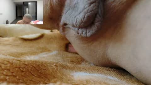 ANNYANNY online show from 06-12-26, 04:06