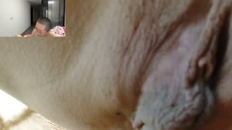 ANNYANNY online show from 06-25-26, 02:54