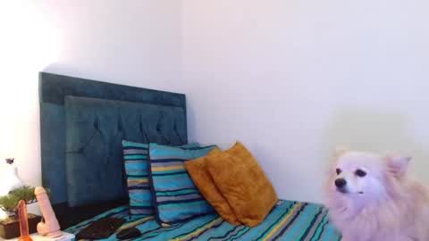 Cedrixx10 online show from 11-11-25, 10:32