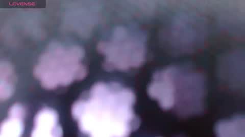Snapshot of celeste817631 chatting on 06-30-26, 01:01 celeste817631 online show from 06-30-26, 01:01