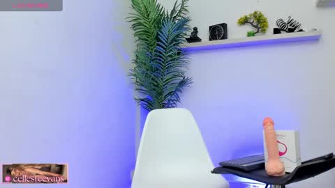 Celeste  online show from 01-25-25, 09:04