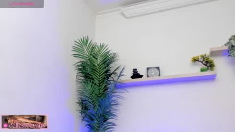 Celeste  online show from 03-12-25, 07:28