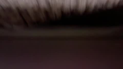 cenobitfor online show from 03-05-26, 12:01