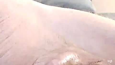 cfnmkinky28 online show from 12-17-24, 09:07