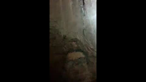 chacal6311 online show from 02-09-26, 01:31