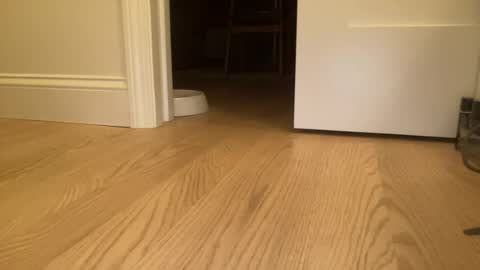 chadstud411 online show from 07-14-26, 05:23