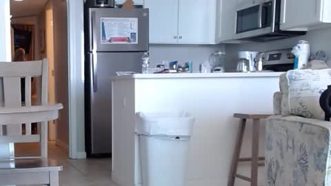 charleyandsmokie online show from 10-31-25, 05:58