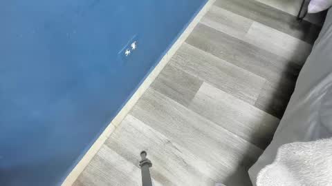 Charlie Musk online show from 06-06-26, 11:37