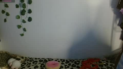 Ale punky online show from 05-13-26, 02:53