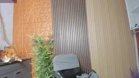 Snapshot of charlotte_whitee1 chatting on 02-17-25, 11:02 Charlotte Everyday From 0700 to 1300 Col Time online show from 02-17-25, 11:02