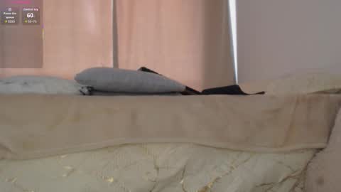 charlottehorny1 online show from 02-08-26, 03:04