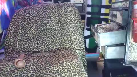 Snapshot of chase_xxxxnx chatting on 03-07-26, 09:50 Sah009XXX online show from 03-07-26, 09:50