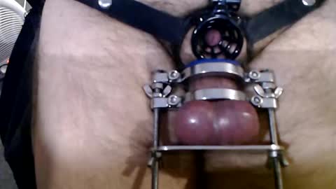 chastebetabitch online show from 02-04-25, 05:21