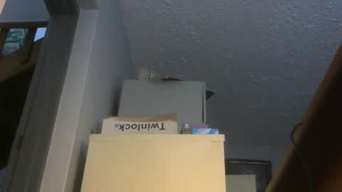 Snapshot of chaturbatordeluxe chatting on 11-17-25, 03:34 chaturbatordeluxe online show from 11-17-25, 03:34