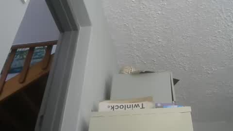 chaturbatordeluxe online show from 12-21-25, 05:47