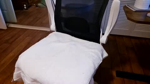 chaytay12 online show from 01-27-25, 02:35