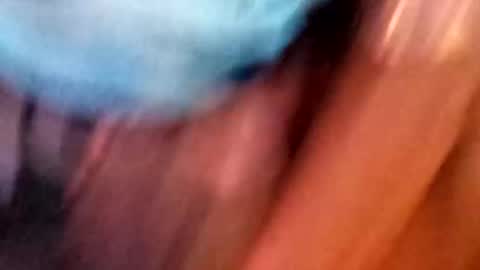 chazo4uncutcocks online show from 01-31-25, 10:42
