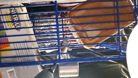 cheffydl online show from 11-16-25, 11:16