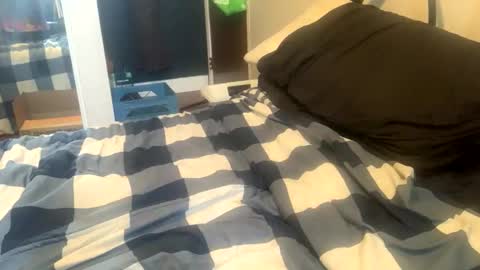 Snapshot of chev1981 chatting on 03-09-26, 05:17 Chevy online show from 03-09-26, 05:17