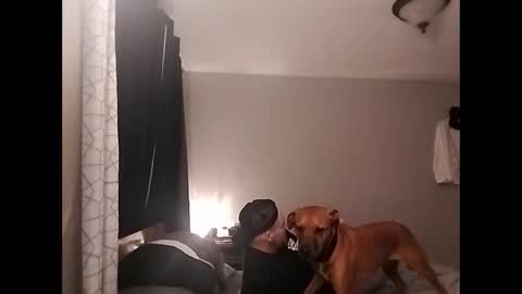 cheyrann online show from 11-03-25, 04:36