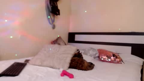 Snapshot of chikandela chatting on 04-06-26, 08:54 Valentina online show from 04-06-26, 08:54