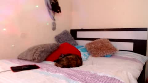 Snapshot of chikandela chatting on 05-12-26, 09:12 Valentina online show from 05-12-26, 09:12