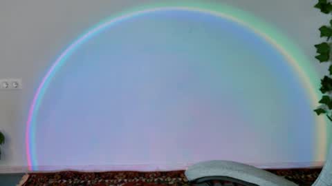 Snapshot of chillsnail_bro chatting on 02-11-26, 09:14 Bella online show from 02-11-26, 09:14