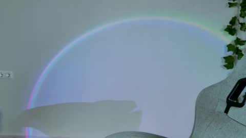 Snapshot of chillsnail_bro chatting on 02-16-26, 09:05 Bella online show from 02-16-26, 09:05