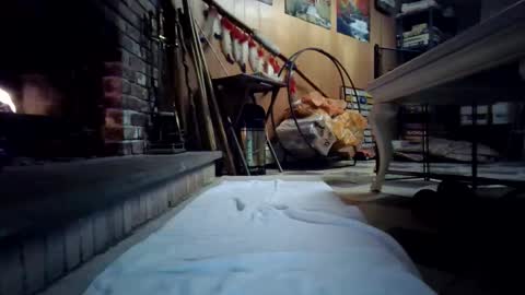 chippy70 online show from 01-18-26, 07:45