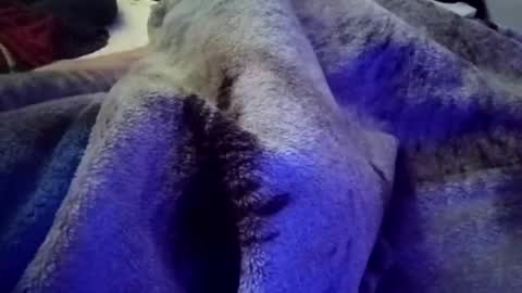 chiwolf1234 online show from 02-06-26, 06:40