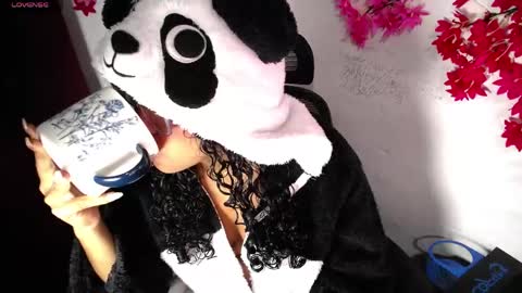 Snapshot of chleo_rosse chatting on 04-17-26, 03:42 chleo_rosse online show from 04-17-26, 03:42