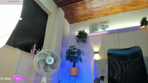 Chloe rosse online show from 01-05-25, 01:13