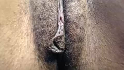 Cutie online show from 05-03-26, 08:20